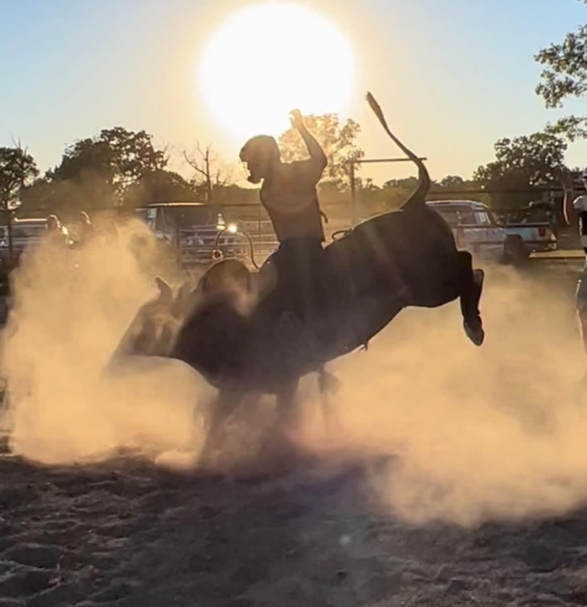 Bull rider silhouetted against the sunset
